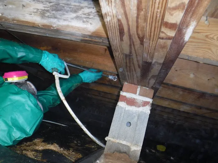 Delaton Service Corporation Picture 8