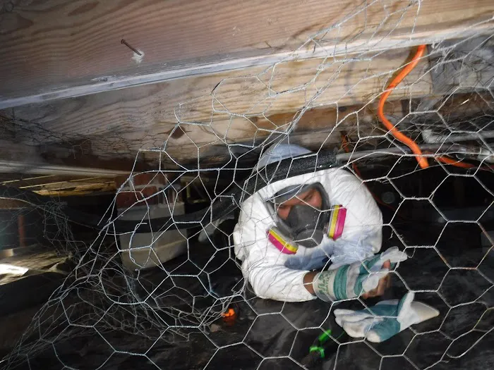 Delaton Service Corporation Picture 6