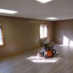 Priceless Painting Plus