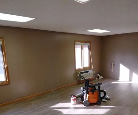 Priceless Painting Plus