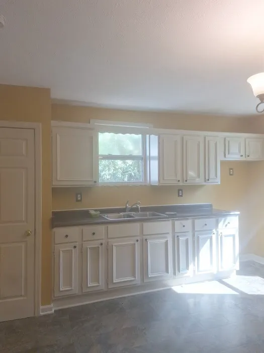 BERDUO MARTINEZ PAINTING LLC Picture 6