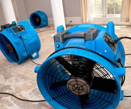 Fast Water Damage Solution Newnan