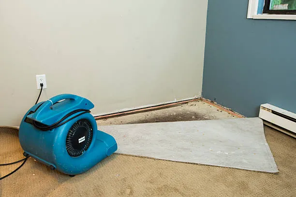 Fast Water Damage Solution Newnan Picture 2