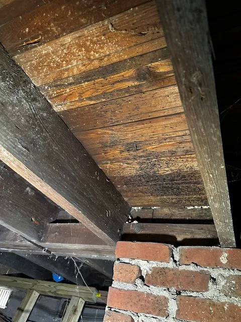 BOR of Gwinnett Picture 9