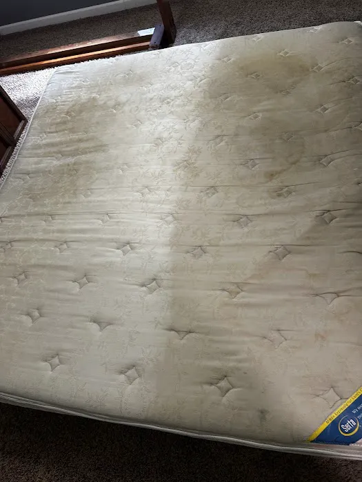 Doctor Clean Carpet & Tile Care Picture 7