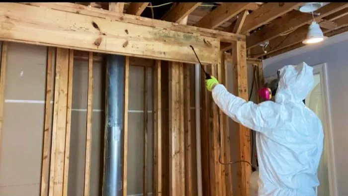 Clean Air Crew Picture 4