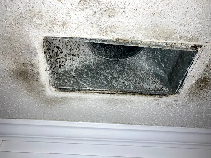 Clean Air Crew Picture 1