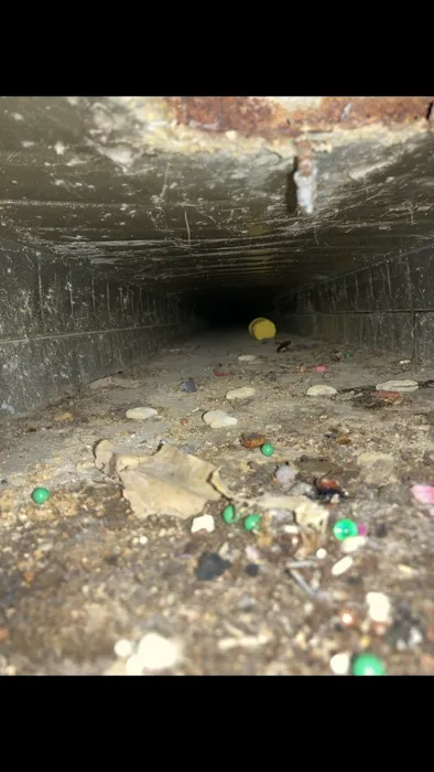 Clean Air Crew Picture 9