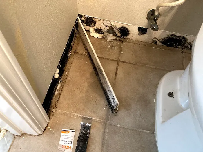 Clean Air Crew Picture 3