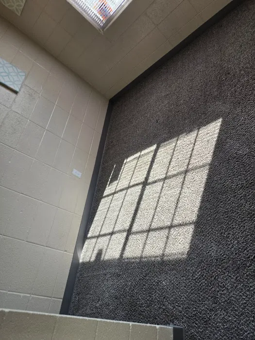 Stanley Steemer Picture 6