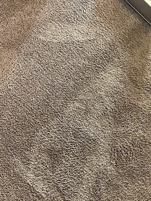 Stanley Steemer Picture 5