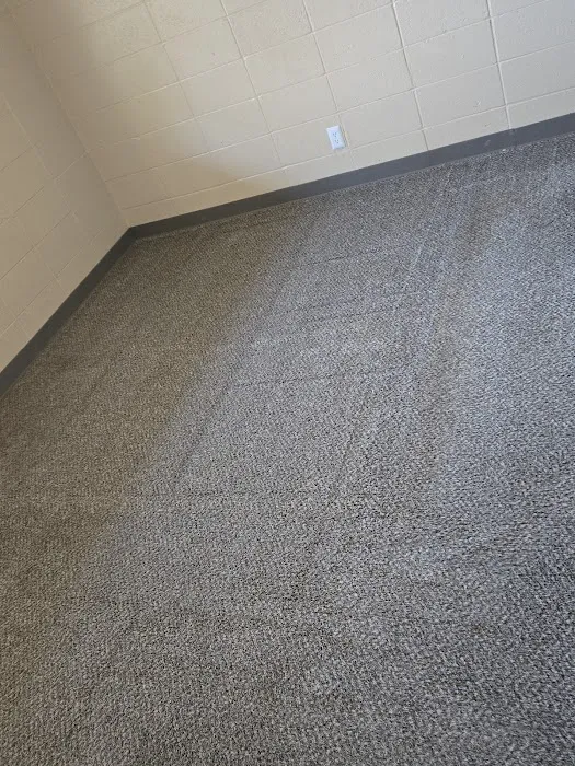 Stanley Steemer Picture 8