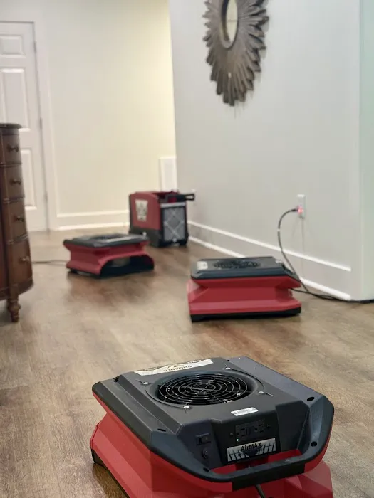 Homelyft Restoration Picture 1