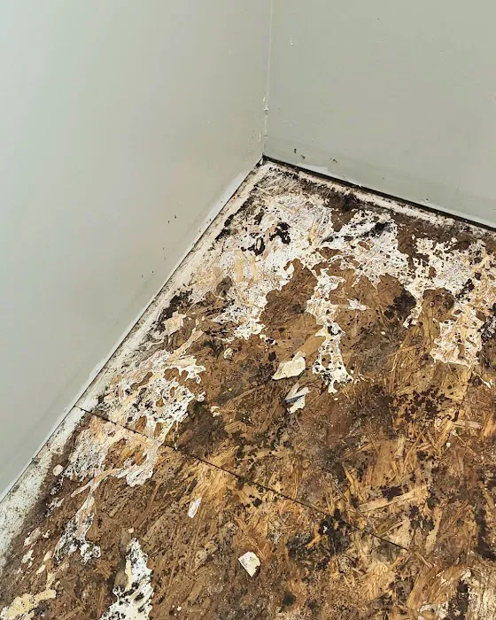 Homelyft Restoration Picture 9