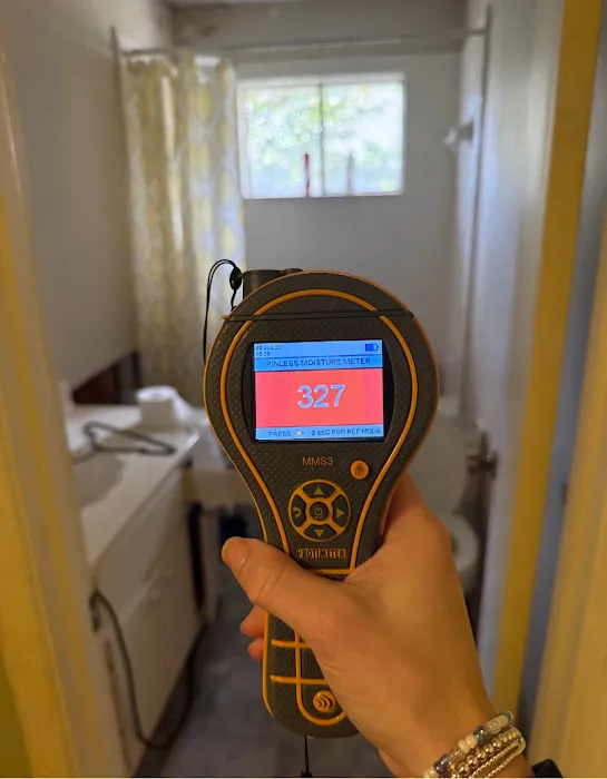 Homelyft Restoration Picture 10