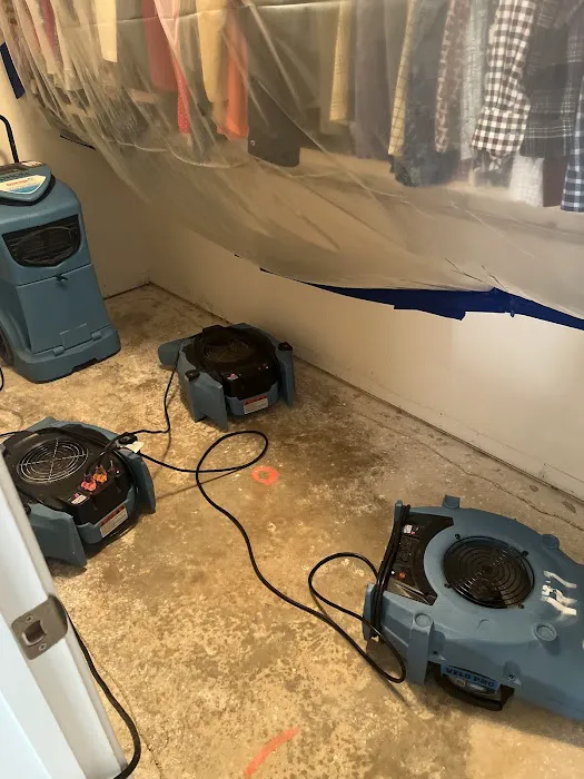 Restoration 1 of Gulf Coast Picture 5