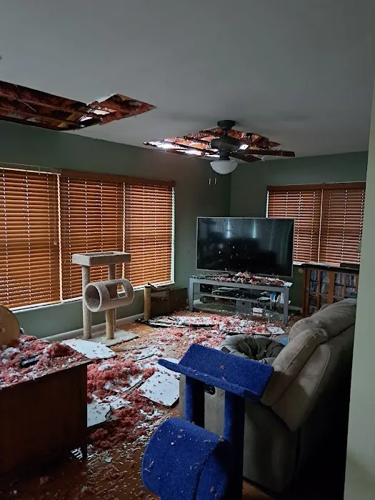 Restoration 1 of Gulf Coast Picture 1