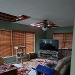 Restoration 1 of Gulf Coast