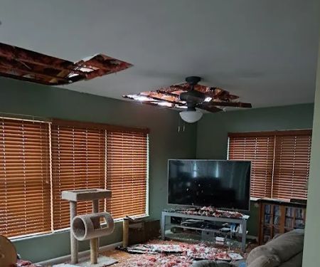 Restoration 1 of Gulf Coast