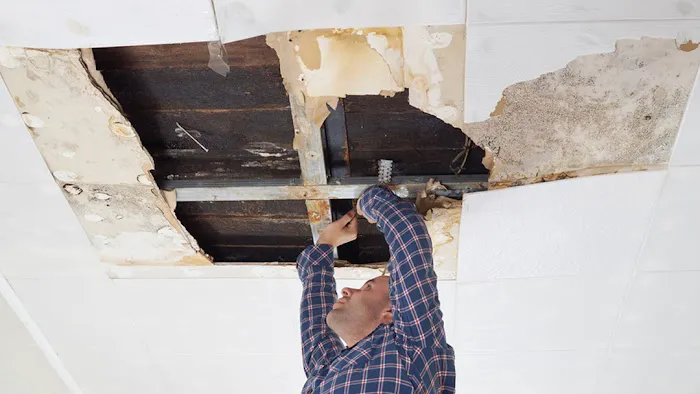 Restoration 1 of Gulf Coast Picture 6