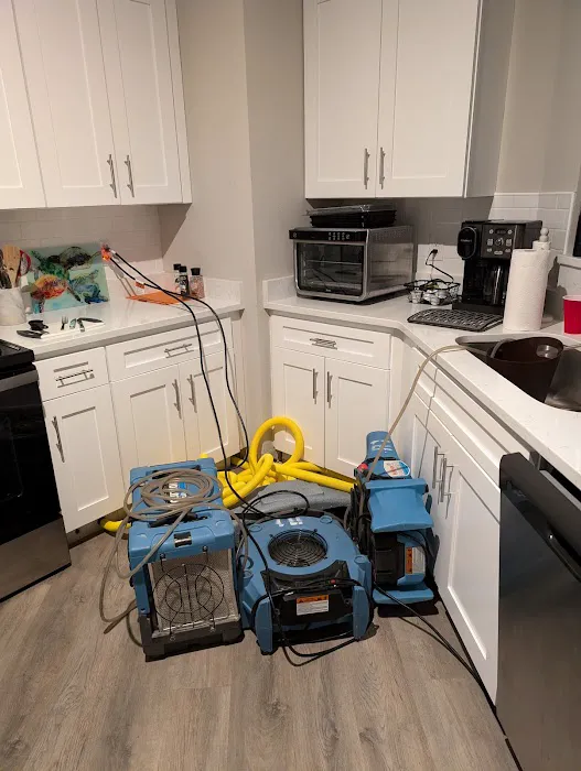 Restoration 1 of Gulf Coast Picture 2