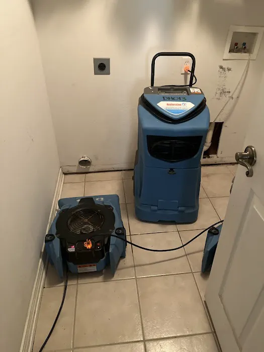 Restoration 1 of Gulf Coast Picture 9