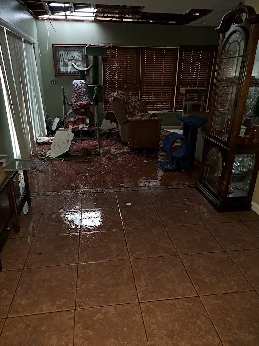 Restoration 1 of Gulf Coast Picture 3