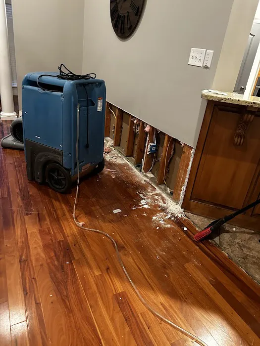 BAM! Restoration Picture 3