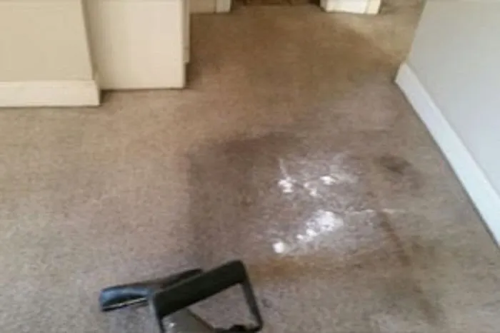 Teddy Bear Services Picture 2