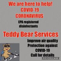 Teddy Bear Services ico