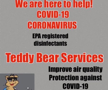Teddy Bear Services