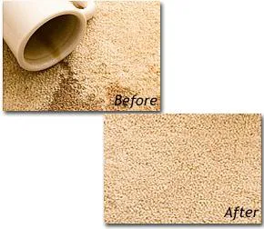 Teddy Bear Services Picture 8