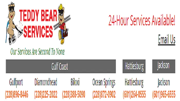 Teddy Bear Services Picture 7