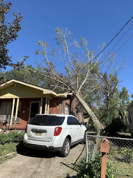 Southern Roots Restoration Picture 8