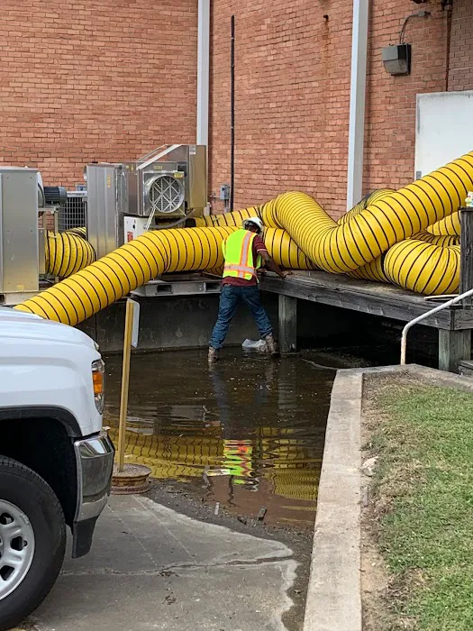 Southern Roots Restoration Picture 5