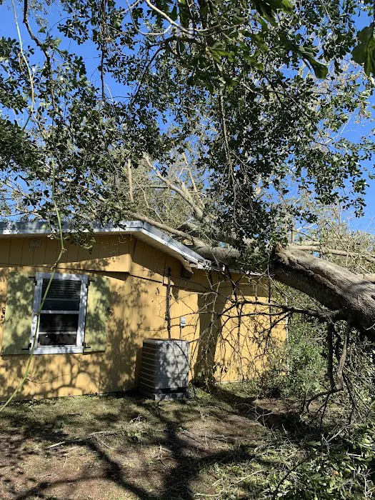 Southern Roots Restoration Picture 3