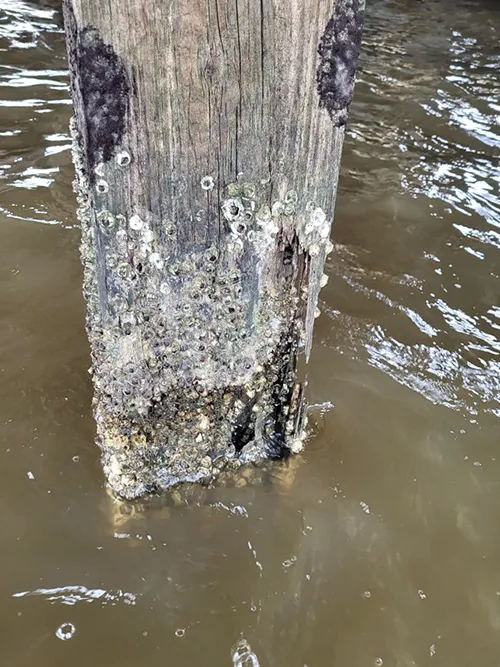 MDH Foundation Repair Picture 3