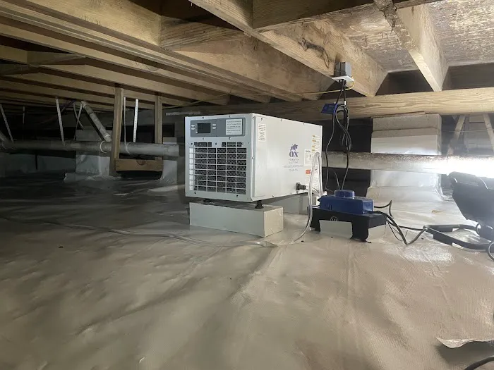 Ox Foundation Solutions Picture 7