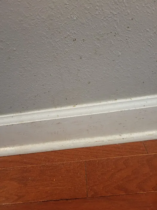 Stanley Steemer Picture 2