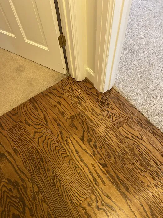 Stanley Steemer Picture 10