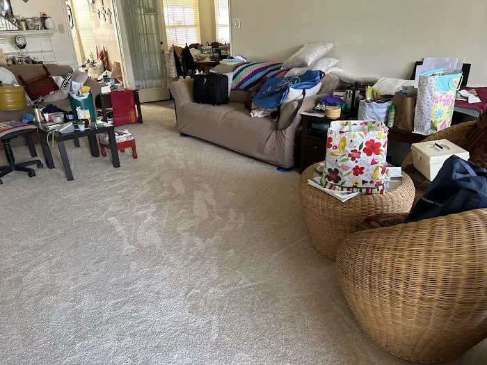 Stanley Steemer Picture 5