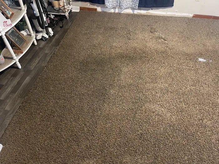 Stanley Steemer Picture 3