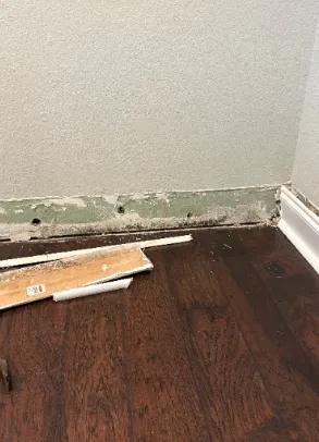 Rescue Restoration LLC Picture 5