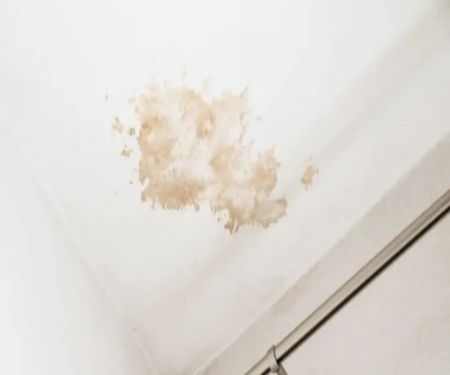 Priority Response and Restoration