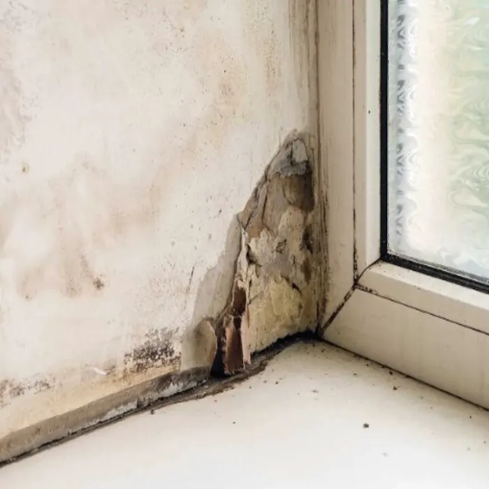 Priority Response and Restoration Picture 3