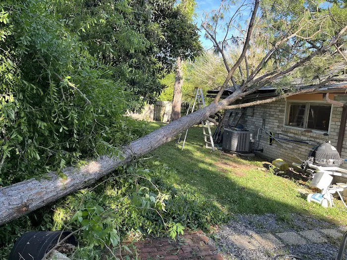 Coast Contractors LA LLC Picture 9