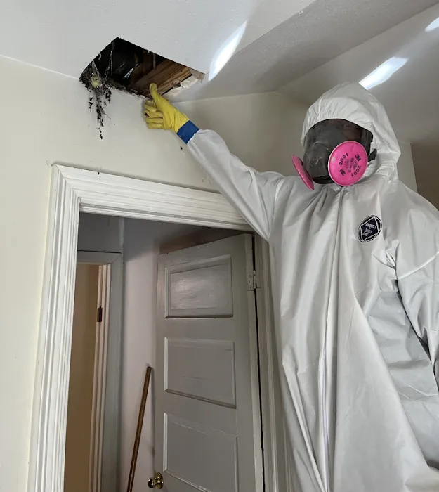 Lightspeed Restoration of Covington Picture 10