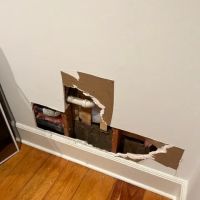 Gulf States Clean Guard ico