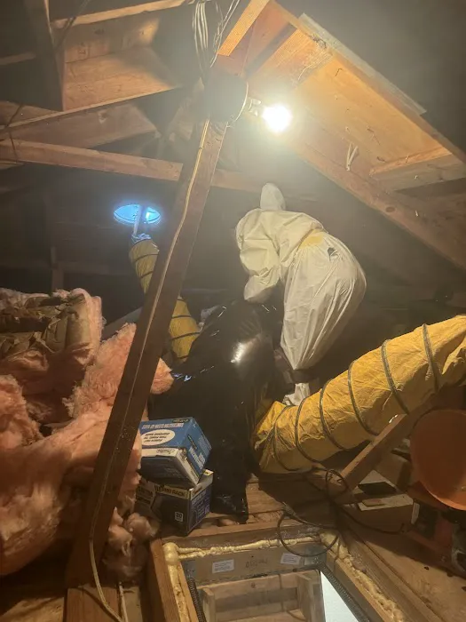 Sunlight Contractors Picture 2