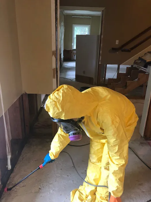 DryMax Mold Picture 2